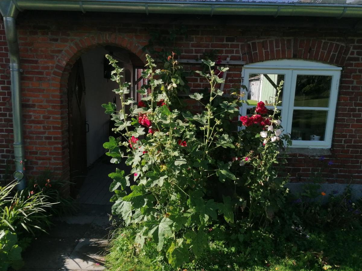 Fw Achterdeck, 1 Obergeschoss, Petershof-Lehbek Apartment Gelting Luaran gambar